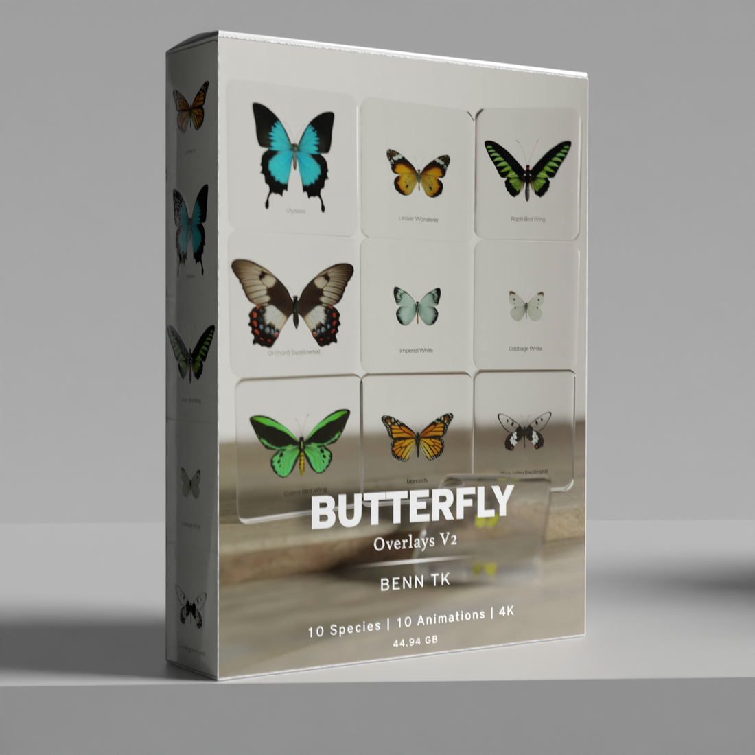 BENN TK BUTTERFLY OVERLAYS V2